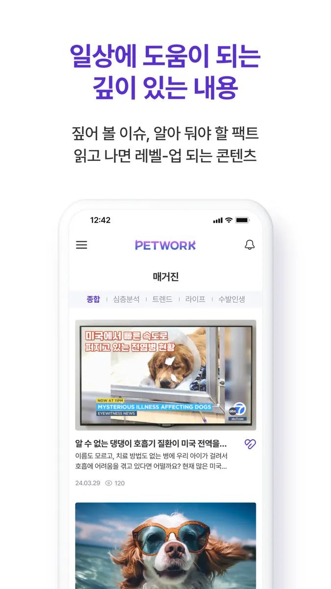펫트워크 - 댕댕 보호자들의 정보 네트워크 App Store 공개 화면 5
