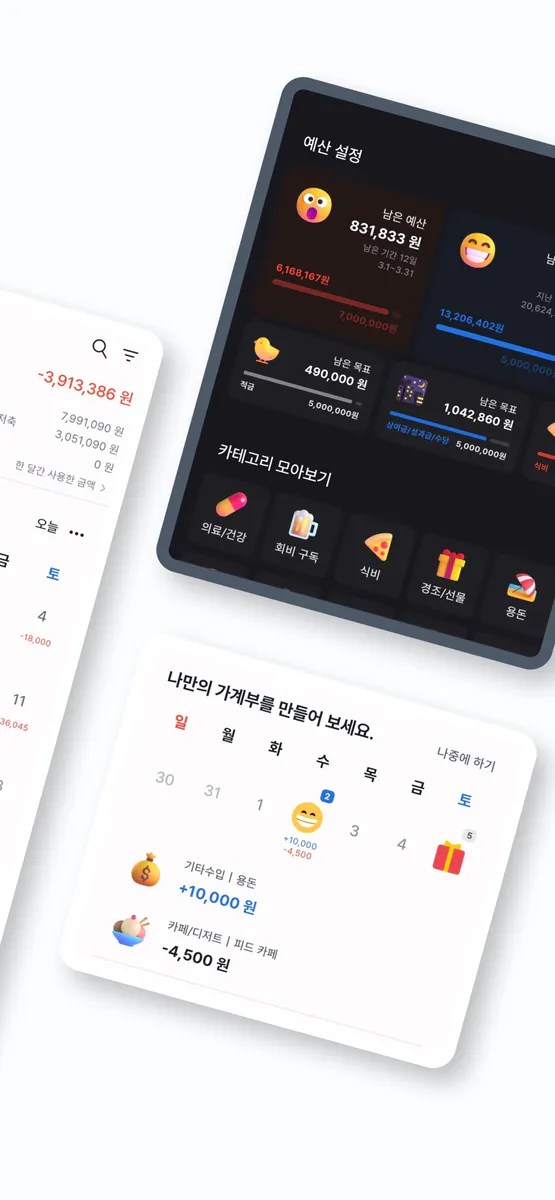 피드 가계부 Pro App Store 공개 화면 2