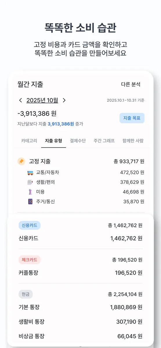 피드 가계부 Pro App Store 공개 화면 4