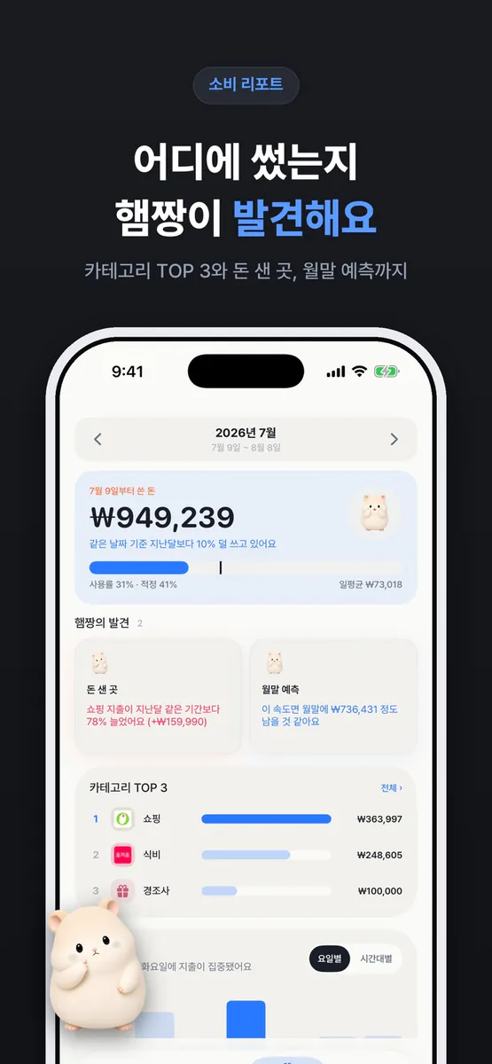 머니차곡 : 똑똑한 가계부 App Store 공개 화면 5