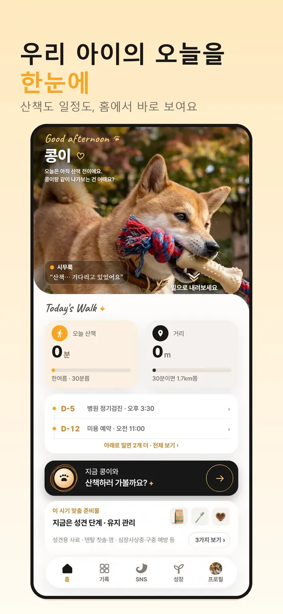 테일로 - 반려동물 하루 기록, 추억 보관함 App Store 공개 화면 1