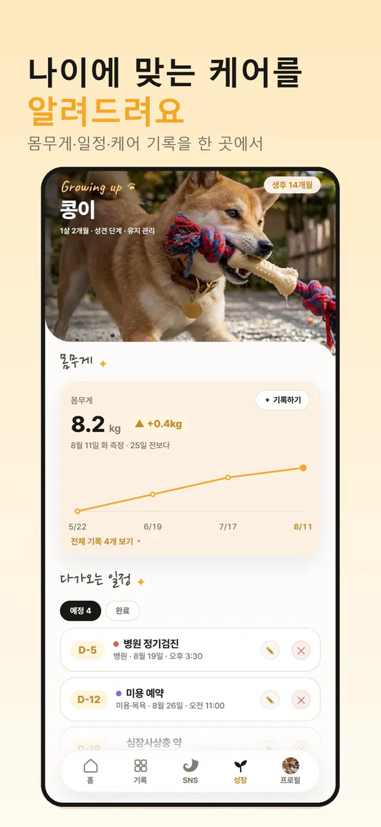 테일로 - 반려동물 하루 기록, 추억 보관함 App Store 공개 화면 3