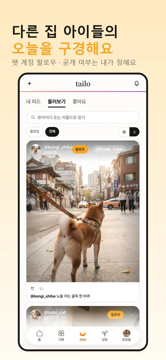 테일로 - 반려동물 하루 기록, 추억 보관함 App Store 공개 화면 4