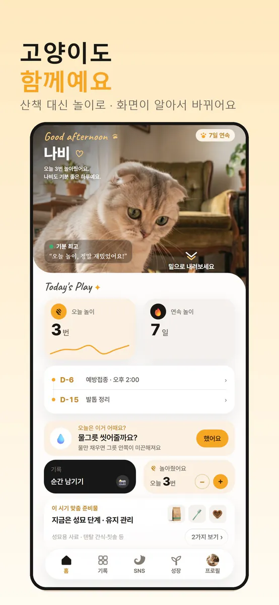 테일로 - 반려동물 하루 기록, 추억 보관함 App Store 공개 화면 5