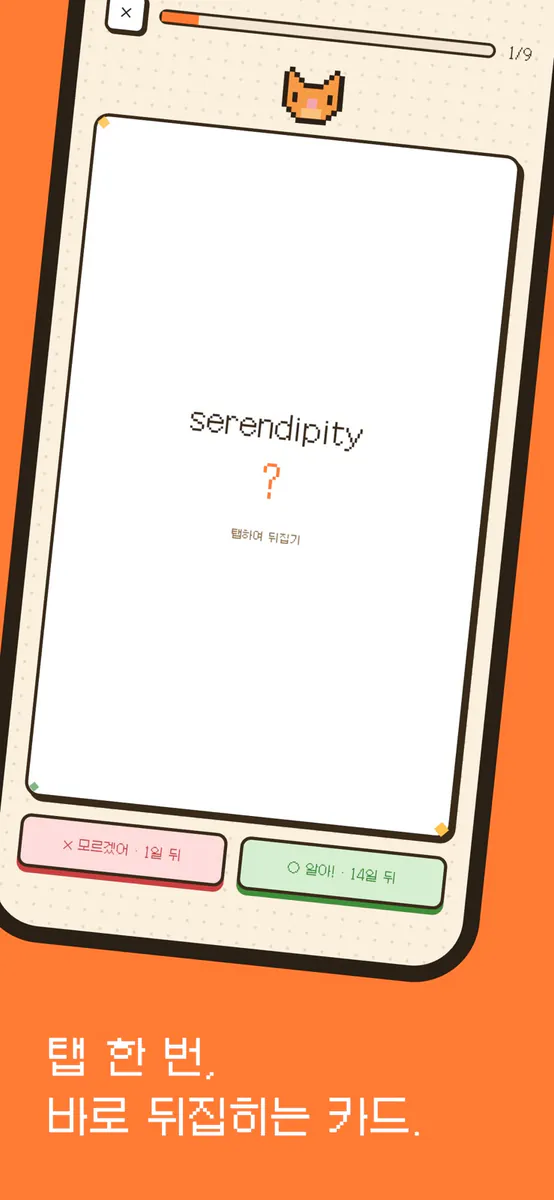 SnapMem — 픽셀 고양이 암기카드 App Store 공개 화면 1