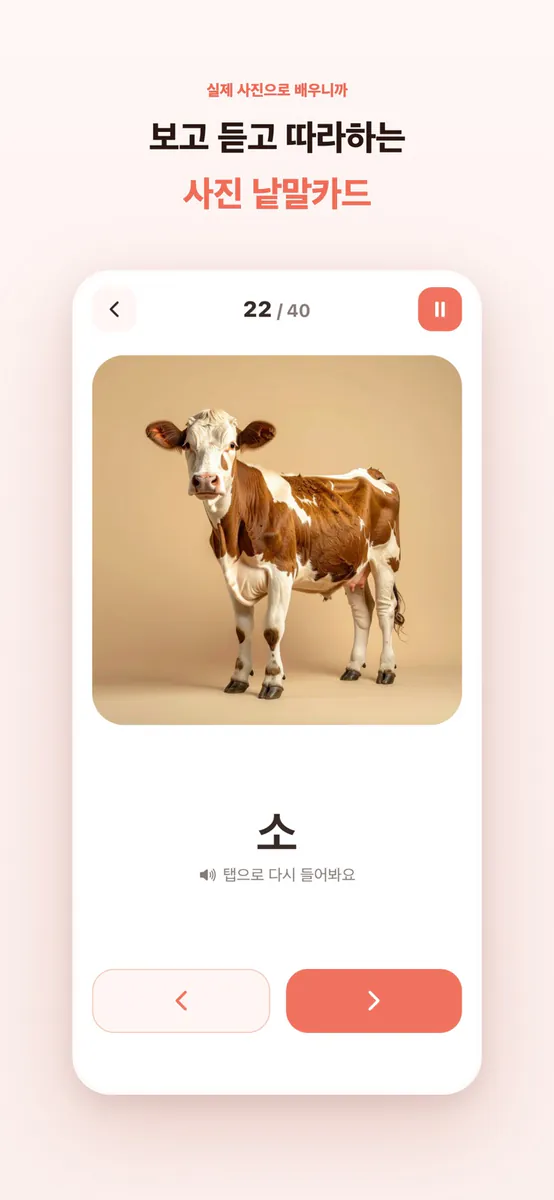모얌북 - 언어공부, 낱말카드 App Store 공개 화면 3