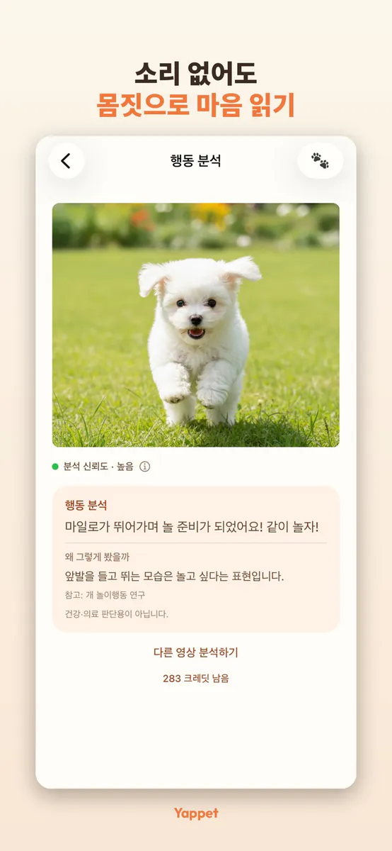 Yappet - 강아지 고양이 통역 App Store 공개 화면 5