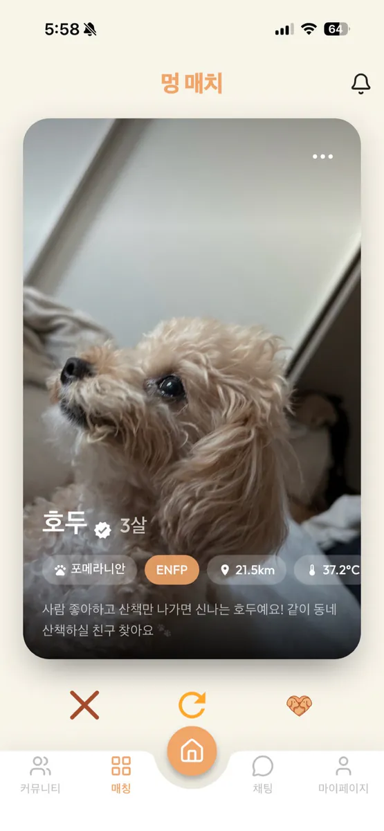 멍매치 - 반려견 산책 친구 찾기 App Store 공개 화면 1