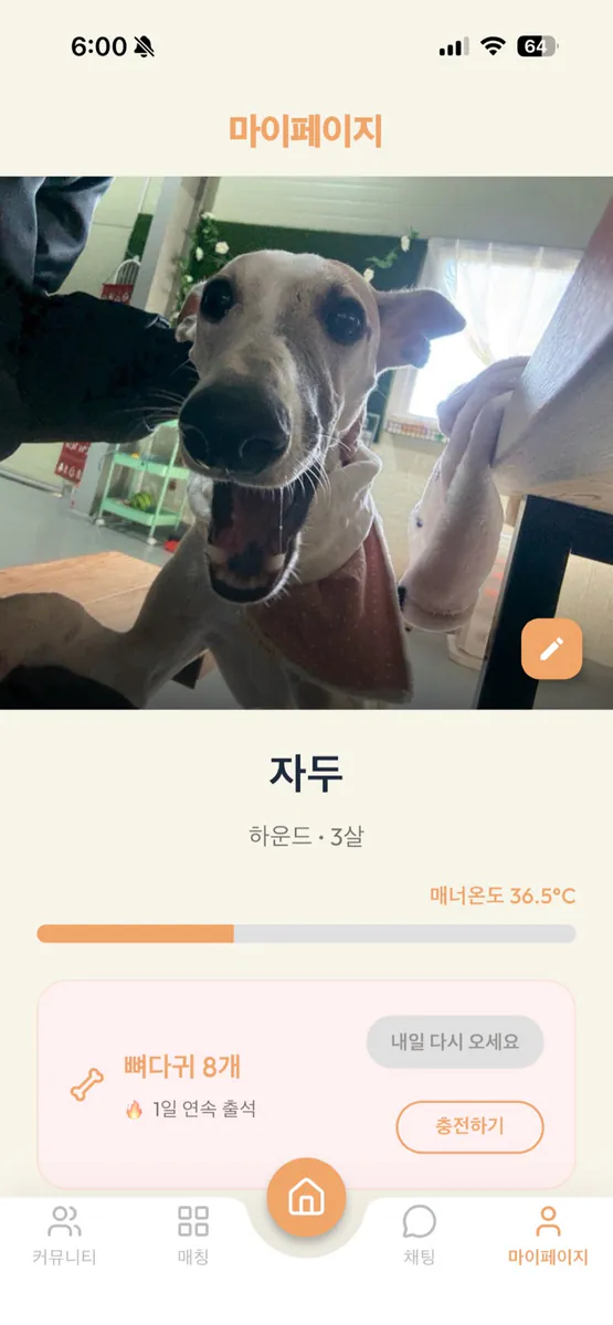 멍매치 - 반려견 산책 친구 찾기 App Store 공개 화면 3