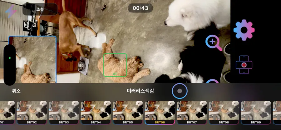 브라운 듀얼카메라 App Store 공개 화면 4