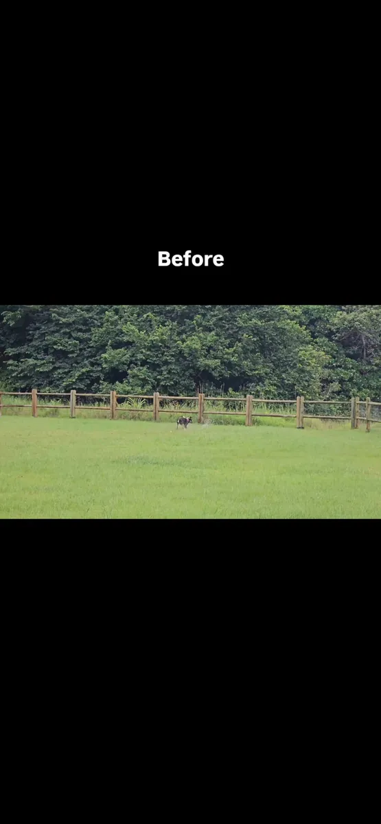 Catchy Cam - Auto Tracking Cam App Store 공개 화면 2