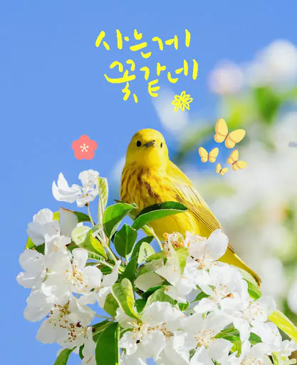 감성공장 - 봄 캘리&글씨 감성 카드 만들기 Google Play 공개 화면 2